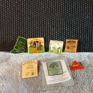 Vintage Indiana State Rally Pins Collection